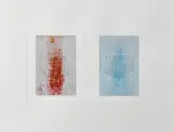 Siobhan Piercy, Untitled