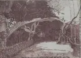 Chloe Phipps, Untitled
