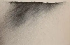 Gerda Teljeur, Untitled