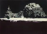 Cara Thorpe, Untitled