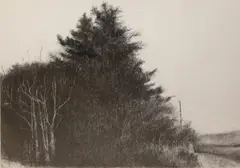 Keith Wilson, Untitled