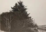 Keith Wilson, Untitled