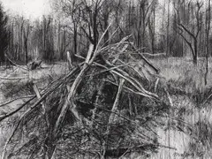 Michael Wann, Untitled