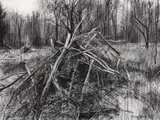 Michael Wann, Untitled