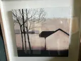 Kate Warner, Untitled