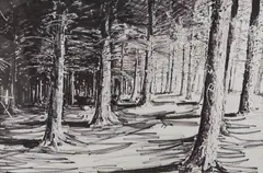 Brendan Early, Untitled