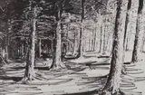 Brendan Early, Untitled
