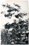 Yony Waite, Migration, circa 1985, Ink on paper