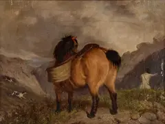 Martin Ward, Mountain Pony, Oil on canvas laid to board