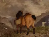 Martin Ward, Mountain Pony, Oil on canvas laid to board