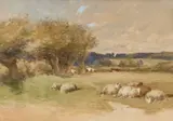 Thomas Francis Wainewright, Cattle In A River And Sheep In A Meadow, A Pair, Watercolour