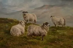 John Charlton, Sheep On Moorland, Oil on canvas