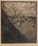 John Savio, Rognetre i Lofoten