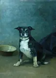 Karl Uchermann, Sittende hund, Olje på lerret