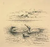 Ridley Borchgrevink, Lomer, 1925, Penn på papir, lysmål