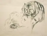 Edvard Munch, Tigeren, Litografi, lysmål