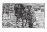 Edvard Munch, Mann med hest I, Radering trykket i svart på tykt hvitt papir
