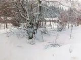 Axel Lindman, Vinterlandskap, Olje på lerret
