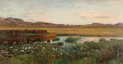 Kitty Lange Kielland, Torvmyr, 1911, Olje på lerret