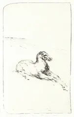 Bjørn Ransve, Liggende hest, 1988, Litografi, lysmål