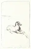 Bjørn Ransve, Liggende hest, 1988, Litografi, lysmål