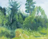 Rudolph Thygesen, Sommerlandskap