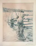 Anders Zorn, Gärdesgård