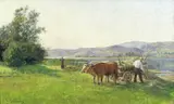 Sigrid Bølling, Høyonn, Olje på lerret