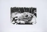 Miguel Ángel Rojas, Caño limón, 1993, Aguafuerte sobre papel. Ejemplar prueba de artista