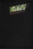 Alfredo Jaar, The last sky, 2019, Impresión digital sobre papel de algodón, Ejemplar 15 de 30