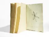Antonio Caro, Cuaderno, 1982, Tinta sobre papel