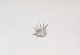 Santiago Cárdenas, Sin título, [2013], Aguafuerte sobre papel. Ejemplar 659 de 750