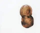 Rafaél Gómez Barros, Sonajeros, 2002, Acrílico, carboncillo y sanguina sobre mdf