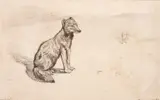 Ernest Henri Griset, The Arctic Fox, chalks