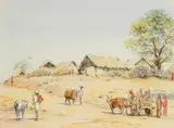 William Carpenter, Dungaum, watercolour and pencil