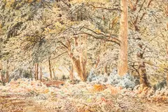 Herbert Moxon Cook, A Woodland Scene, watercolour