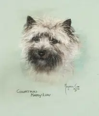 Marjorie Cox, Courtrai Mary Lou, chalk on paper