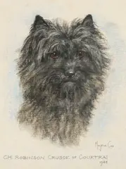 Marjorie Cox, C.H. Robinson Crusoe Of Courtrai, chalk on paper