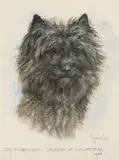 Marjorie Cox, C.H. Robinson Crusoe Of Courtrai