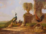 Albertus Verhoesen, A Peacock And Chickens With An Ancient Ruin Beyond