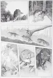 Anna Andruchowicz, W obcej skórze, 2013 r., 2013, plansza komiksowa str. 45 ołówek, papier