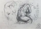 Studia aktu by Franciszek Starowieyski, ołówek, papier, 20, sold Jan 2015