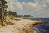 Henryk Baranowski, Gdynia - Orłowo