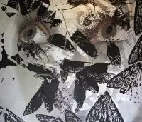 Ewa Żochowska, Ćmy, 2012, 2012, olej, płótno