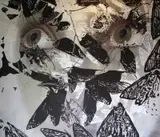 Ewa Żochowska, Ćmy, 2012, 2012, olej, płótno
