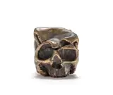 Guy Du Toit, Skull