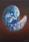 Gerbrand van Heerden, Untitled (Pangolin), oil on canvas