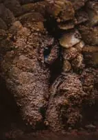 Gareth Thomas, Singularity, photographic print on paper