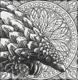 John Moore, Icon Series: Pangolin