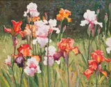 Roelof Rossouw, Irises, oil on board